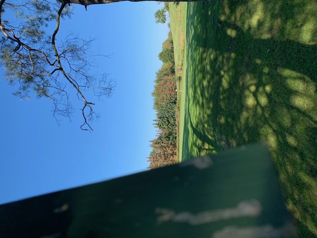 Blick Grün 18