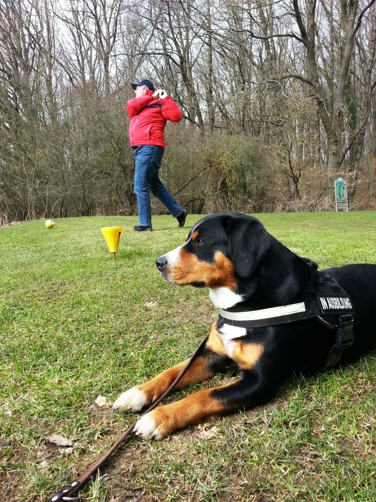 Golfhund Ohtello mit Herrchen 